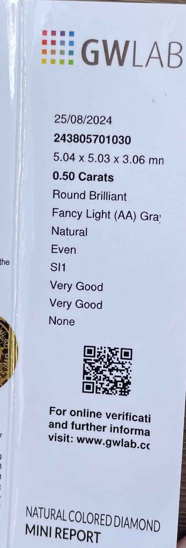 1 Stück Diamant (Natürlich farbig) - 0.50 ct - Rund - Fancy light Grau - SI1 - Mix und Mehr Shop