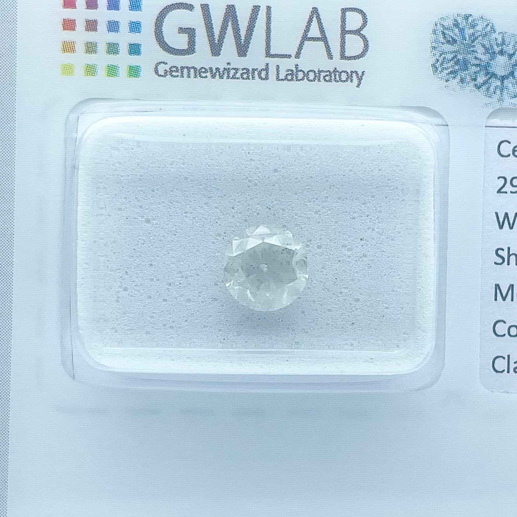 1 Stück Diamant (Natürlich) - 0.91 ct - Rund - F - I1 - Mix und Mehr Shop