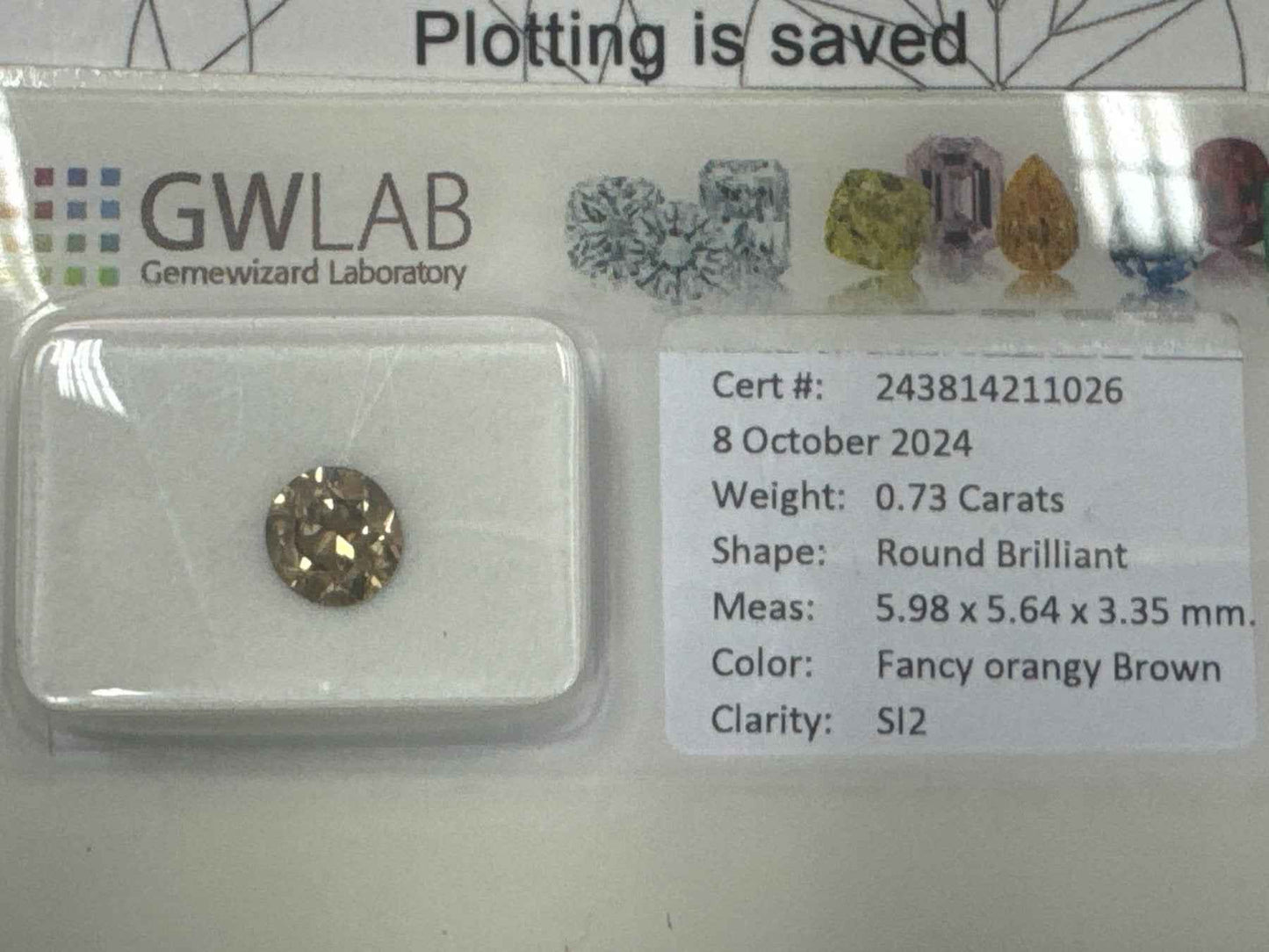 1 Stück Diamant (Natürlich farbig) - 0.73 ct - Rund - Fancy Orange Braun - SI2 - Mix und Mehr Shop