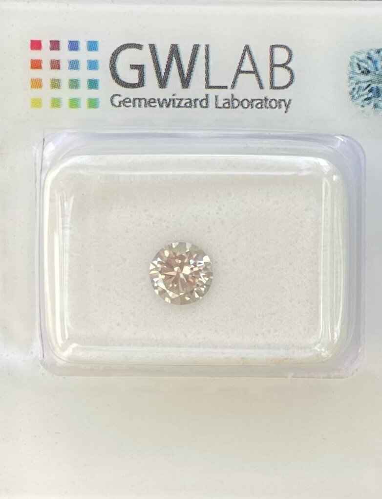 1 Stück Diamant (Natürlich farbig) - 0.50 ct - Rund - Fancy light Grau - SI1 - Mix und Mehr Shop