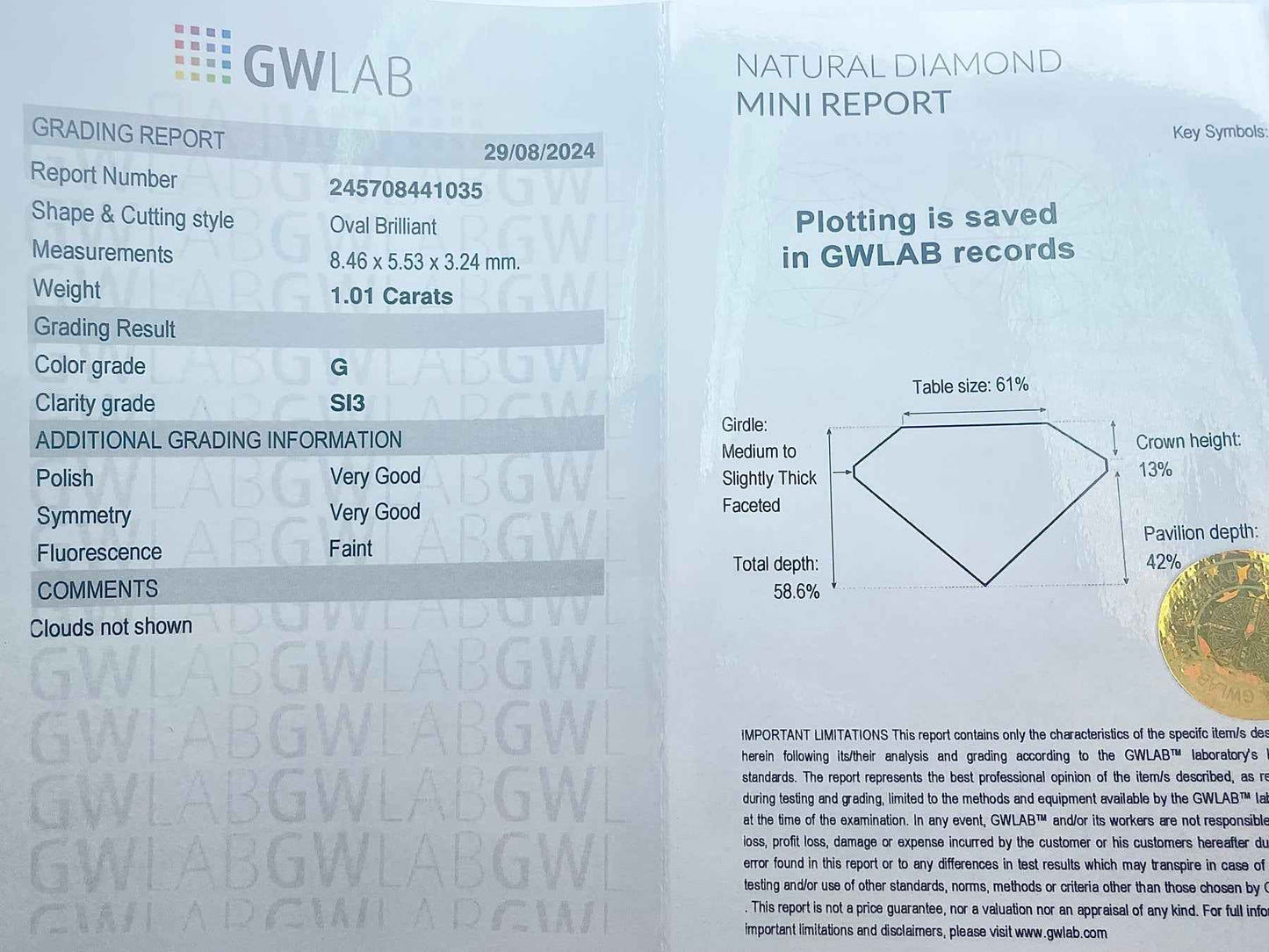 1 Stück Diamant (Natürlich) - 1.01 ct - Oval - G - SI3 - Mix und Mehr Shop