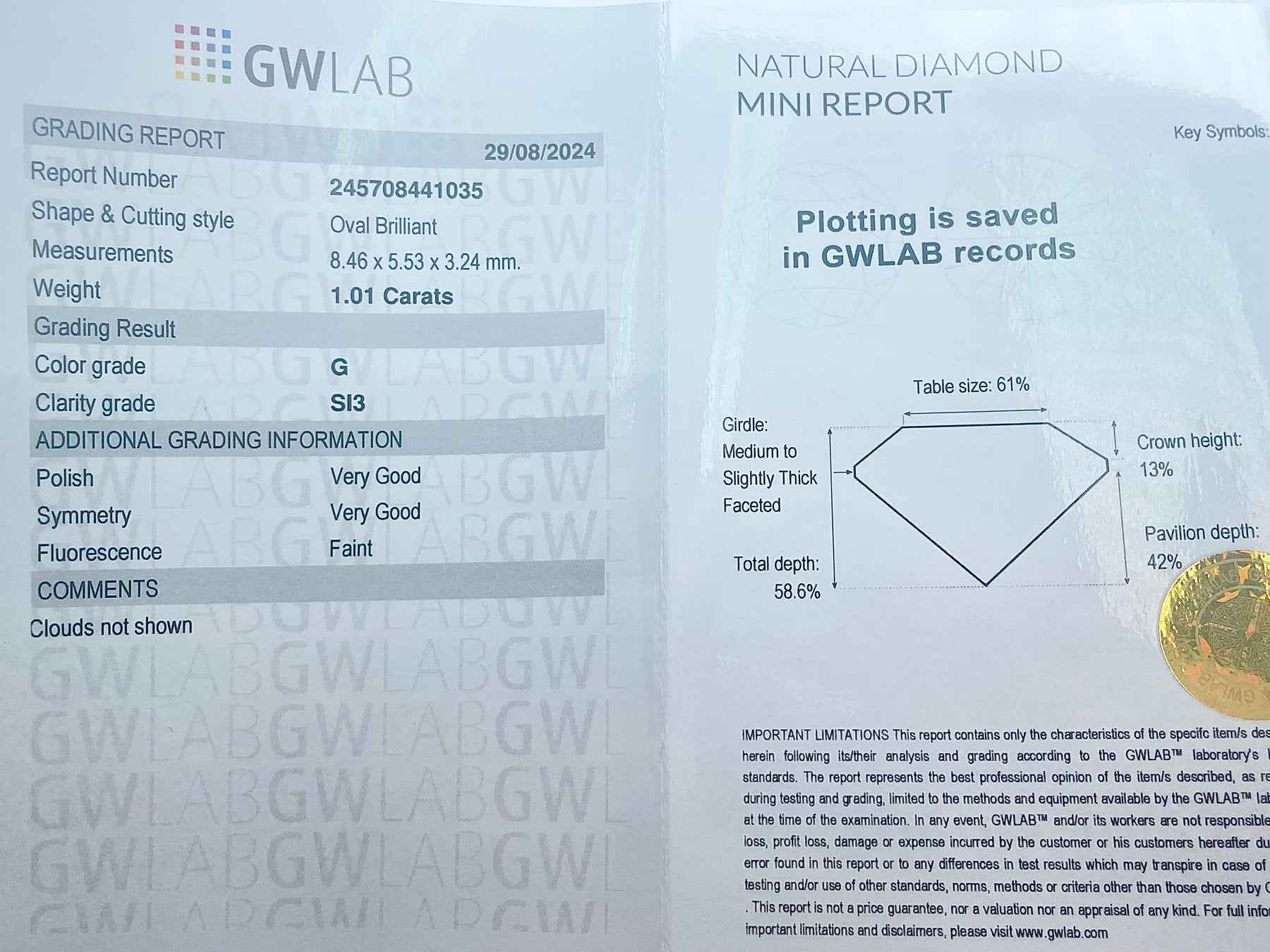 1 Stück Diamant (Natürlich) - 1.01 ct - Oval - G - SI3 - Mix und Mehr Shop