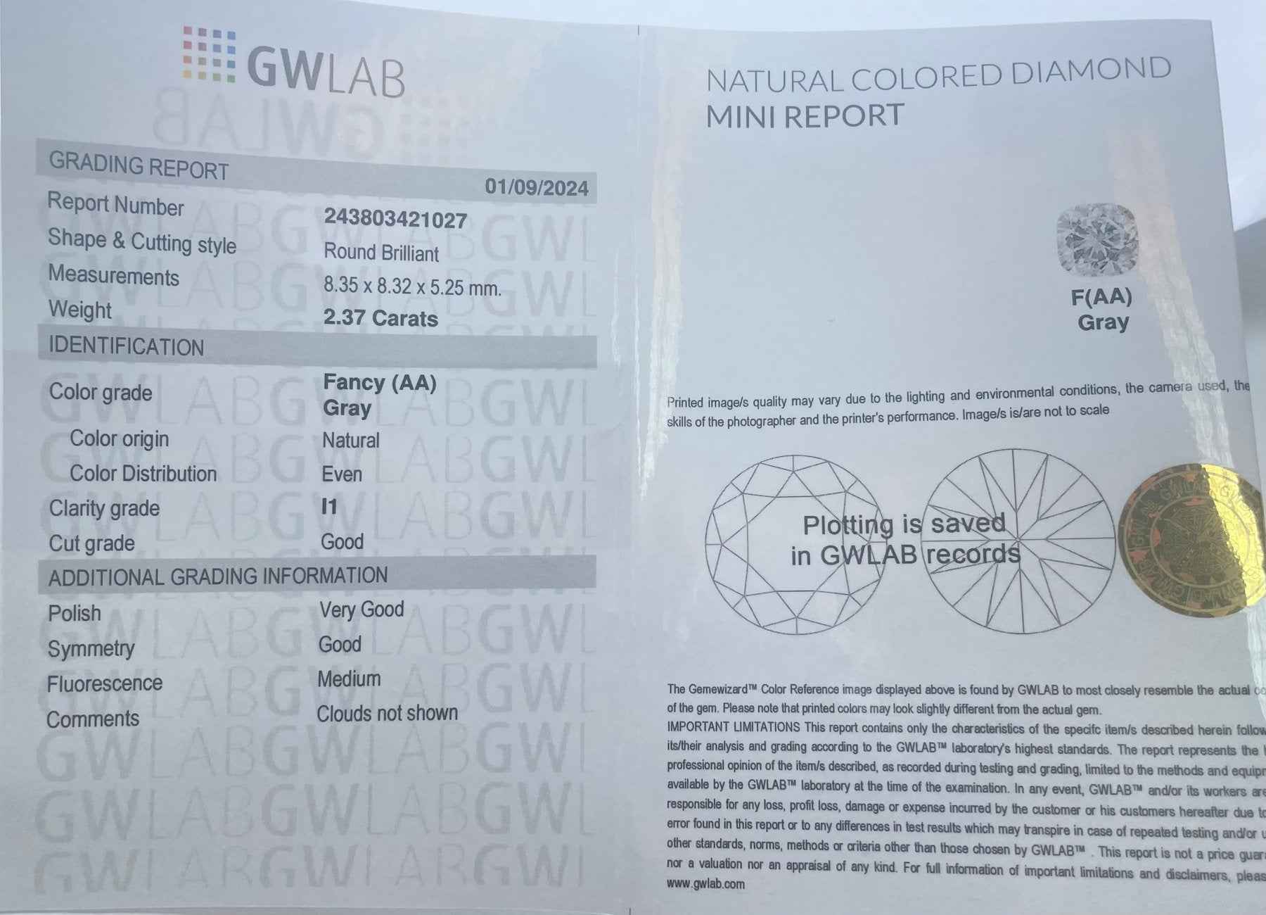 1 Stück Diamant (Natürlich farbig) - 2.37 ct - Rund - Fancy Grau - I1 - Mix und Mehr Shop