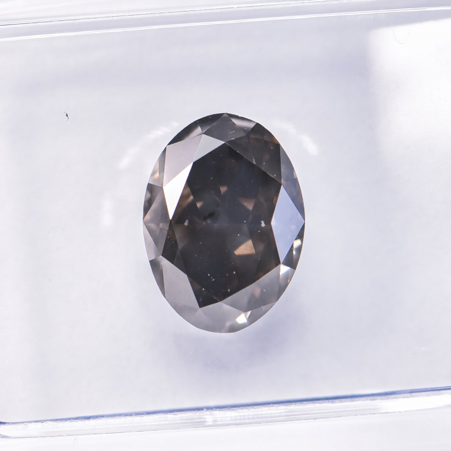 1 Stück Diamant (Natürlich farbig) - 2.08 ct - Oval - Fancy dark Grau Braun - SI2 - International Gemological Institute (IGI)