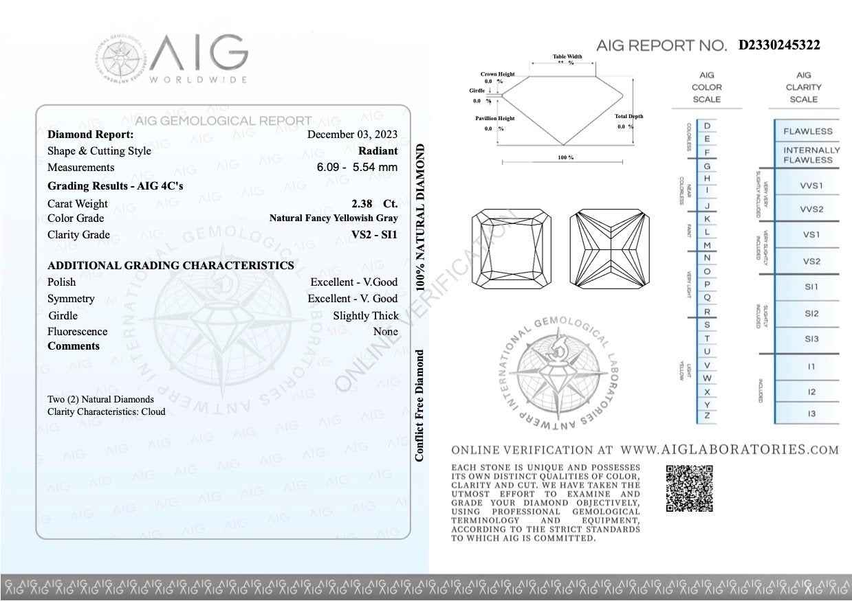 2 Stück Diamant - 2.38 ct - Radiant - Natural Fancy Yellowish Gray - VS2 - SI1 EX VG - Mix und Mehr Shop
