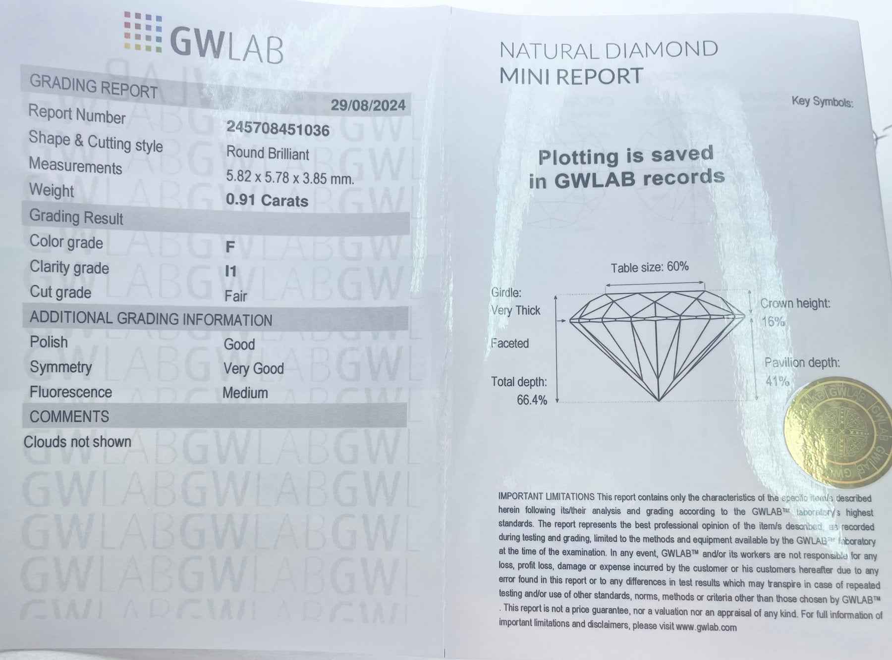 1 Stück Diamant (Natürlich) - 0.91 ct - Rund - F - I1 - Mix und Mehr Shop