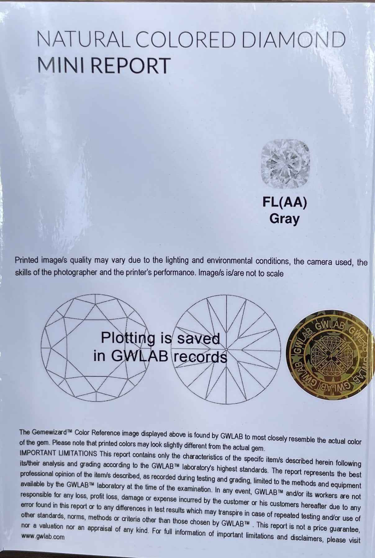 1 Stück Diamant (Natürlich farbig) - 0.50 ct - Rund - Fancy light Grau - SI1 - Mix und Mehr Shop